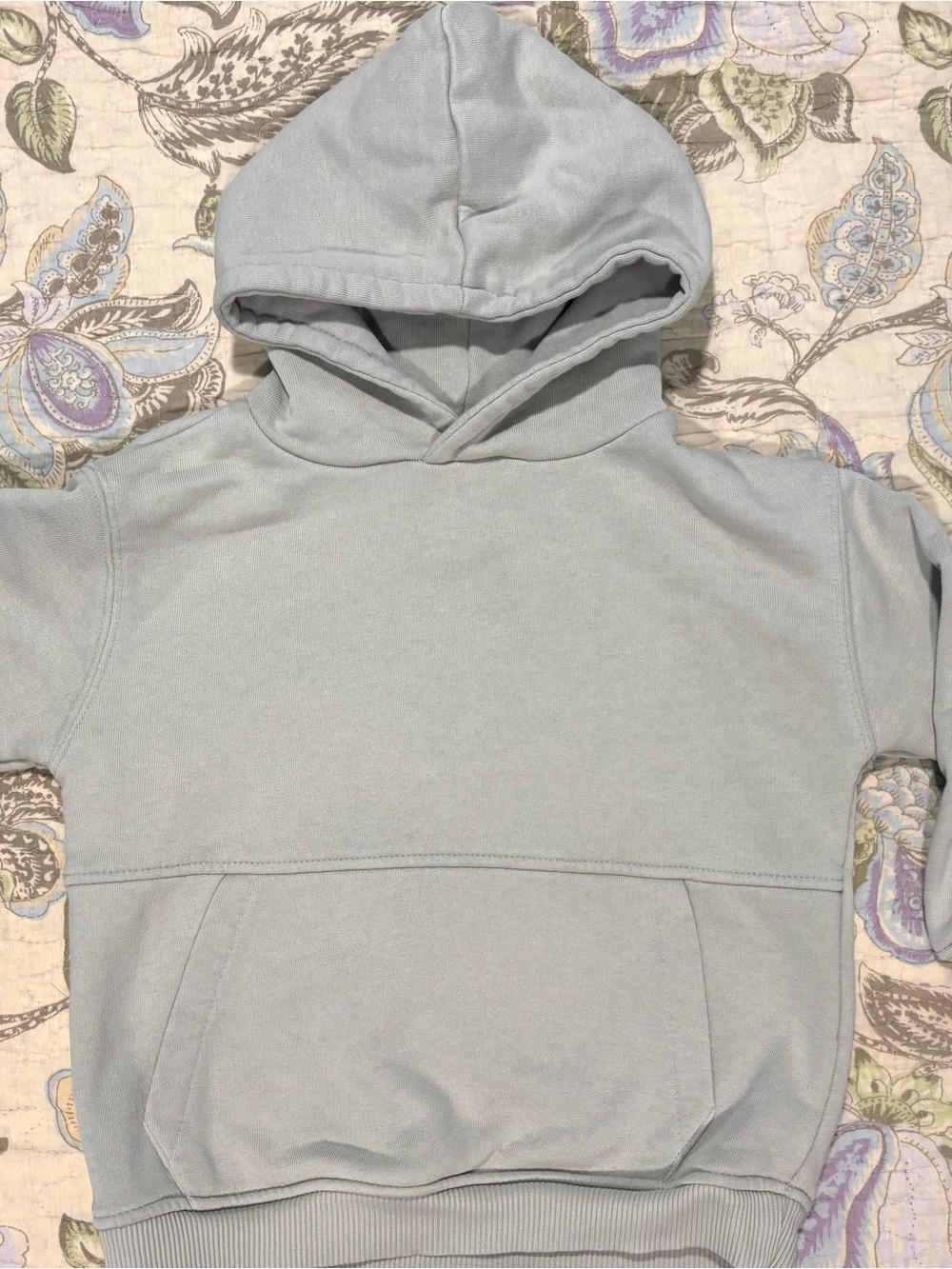 Zara Light Blue/Green Hooded Sweatshirt